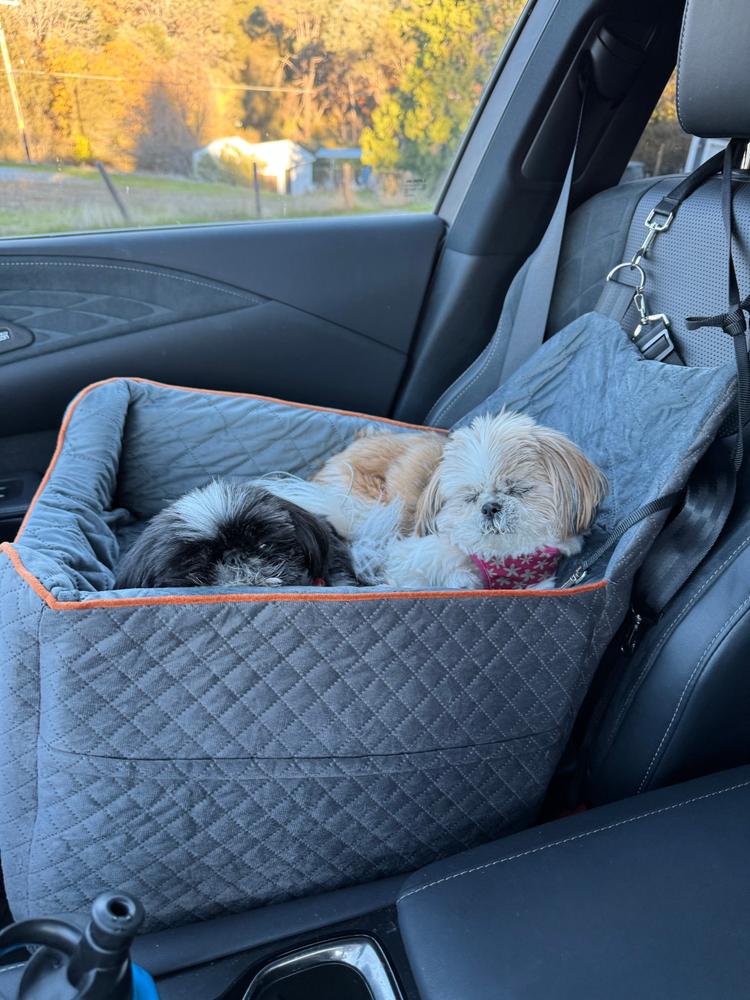 Plushy Booster Seater