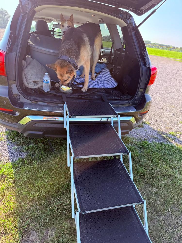 Portable Dog Stairs