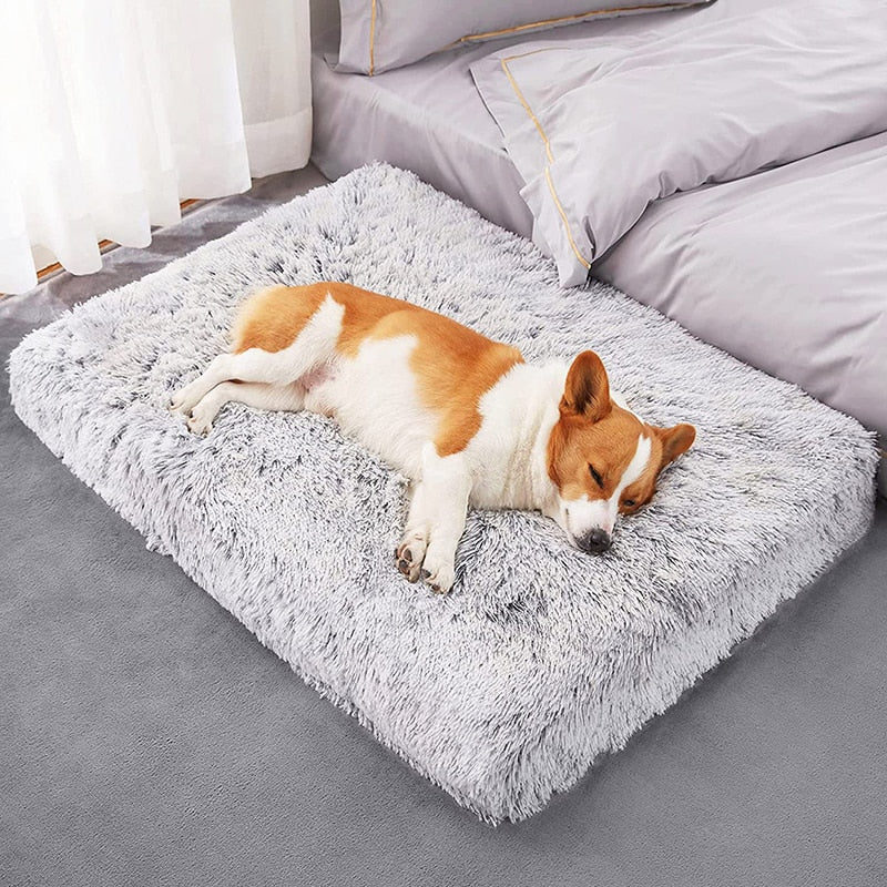 Orthopedic Calming Crate Washable Dog Bed