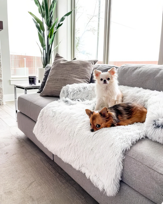 Ultra Calming Plush Dog Sofa Bed