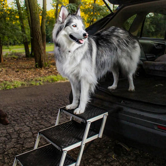 Portable Dog Stairs